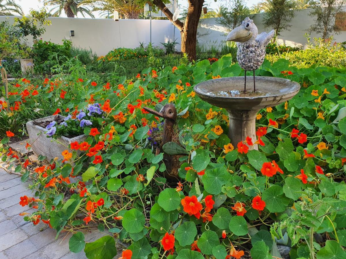 Albatross Guesthouse 兰格班 外观 照片